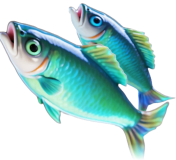 Go Fishing